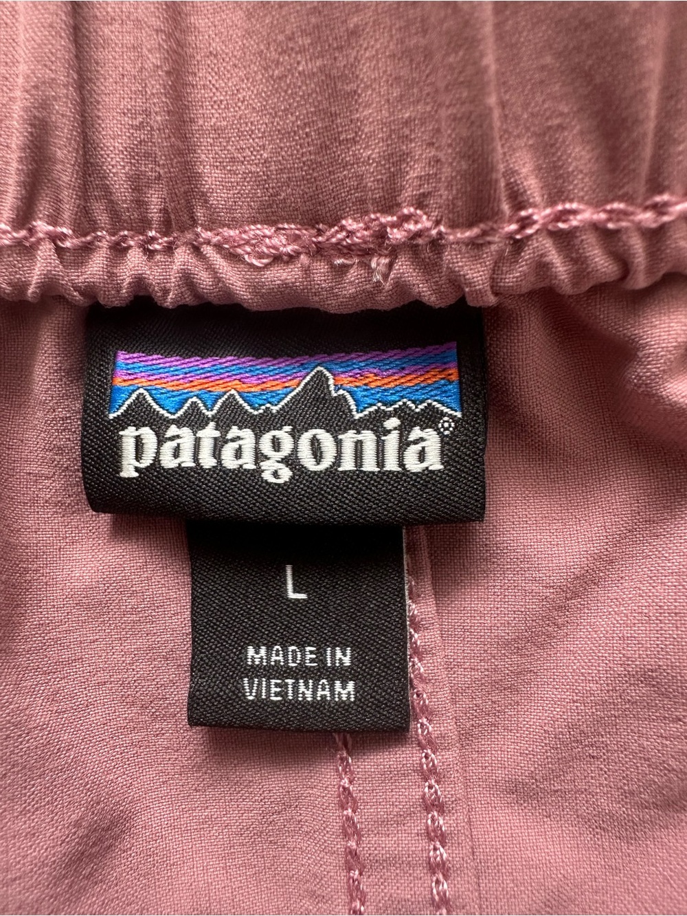 Patagonia Shorts Women’s Outdoor Everyday 4” Short Athletic Hiking Gorpcore Sz L - Picture 7 of 11